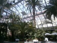 Im Palmenhaus