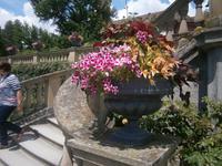 Schöne Schale am Weg zum Rosengarten