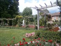 Weiter im Rosengarten