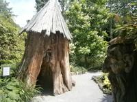 Aus alten Bäumen gestaltet