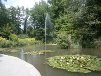 Ein idyllisches Plätzchen