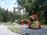 Die Entenfamilie im Nachmittagslicht