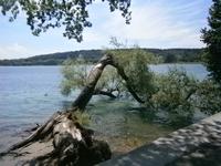 Natur pur am Ufer der Insel