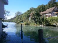 Hier fließt der junge Rhein in Richtung Basel