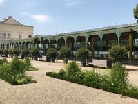 Herrenhäuser Gärten - im Blumengarten