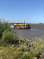 Altes Land - an der Fähre über die Elbe