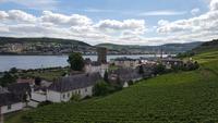 Blick auf Bingen