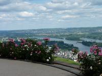 Blick auf Rüdesheim
