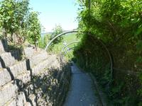 Weg durch die Weinberge