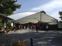 der Eingang zur Mainau