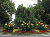 Kreisverkehr in Lindau