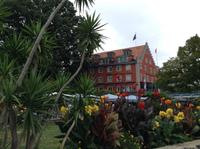 üppige Vegetation am Hafen