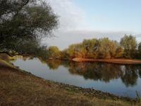 Morgens an der Aller