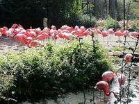 Vogelpark Walsrode