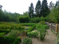 Freilichtmuseum Hösseringen