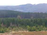 Blick vom Kahlen Asten