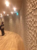 Elbphilharmonie  Phantastische Akkustik