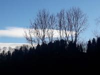 Stimmung am Wendelstein