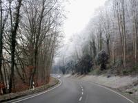 Rauhreif im Tal der Nagold