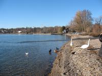 Ammersee