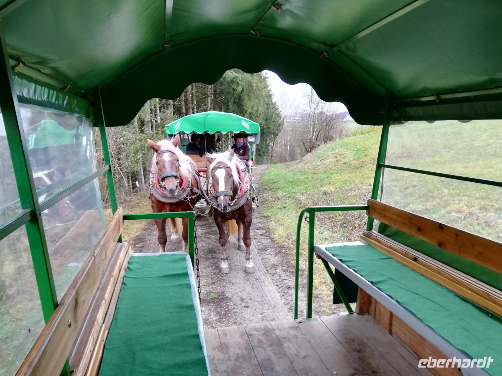 Pferde mit Verschnaufpause.