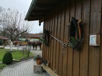 Es hängt ein Pferdehalfter an der Wand ...