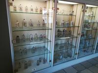 Glasvitrinen mit den schönsten Exponaten.