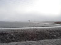 2.Weihnachtstag mit Raureif (2)