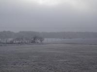 2.Weihnachtstag mit Raureif