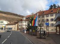 Klingenberg Maintal (6)