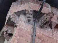 Miltenberg Rathaus 25 (2)