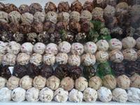 Rothenburg o.T. Schneebälle (2)