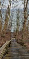 Treppe am Steilufer am Kap Arkona