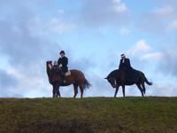 Walhallaritt Ludwig I und Gemahlin