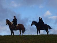 Walhallaritt Ludwig I und Gemahlin