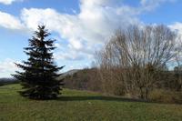 Heimreise, Raststätte bei Eisenach, Thüringer Wald