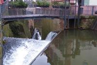 Saarburger Wasserfall 