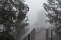 Saarschleife, Baumwipfelpfad