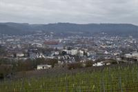 Trier, Blick vom Petrisberg 