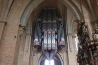 Trier, Dom, Schwalbennestorgel