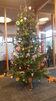 Weihnachtsbaum im Naturerbezentrum