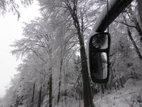 Blick in den frisch verschneiten Wald.