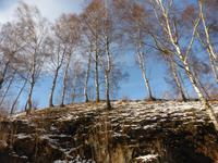 Blick hinaus während der Fahrt. 