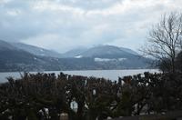 Morgendlicher Blick über den Tegernsee