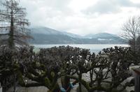 Morgendlicher Blick über den Tegernsee