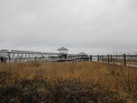 Seebrücke Heringsdorf