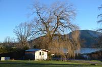 Ein herrlicher Sonnentag