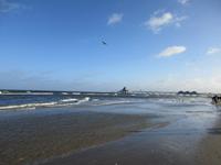 Seebrücke Heringsdorf