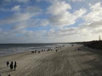 Neujahrsspaziergänger