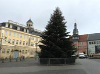Weihnachtsbaum vorm Stadtschloss
